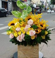 Nhiệm màu