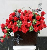 Mỗi ngày