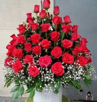 Cả tấm lòng
