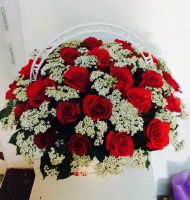 Hoa tặng ngày 8/3