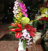 Hoa cắm bình
