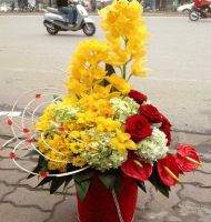 Hoa cắm bình