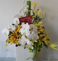 Hoa cắm bình