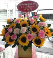 Hoa tặng ngày 20-10