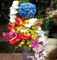 Hoa cắm bình