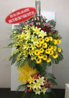 Nấc thang mới