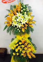 Thành công vượt trội