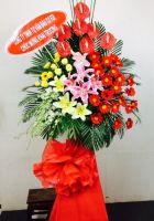 Tấn tới