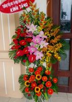 Thành công đột phá