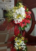 Vững chắc
