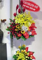 Mạnh mẽ vươn lên
