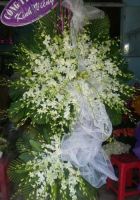 Khoảng trống