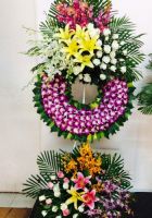 Xin chia buồn
