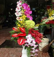 Hoa cắm bình