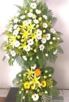 Miền cực lạc