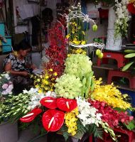 Hoa cắm bình