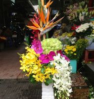 Hoa cắm bình