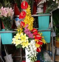 Hoa cắm bình