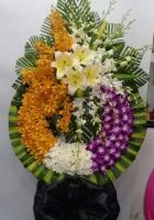 Màu cỏ úa