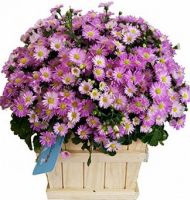 Hoa lễ 20 tháng 10