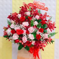 Hoa lễ 20 tháng 10