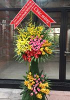 Thành công thuận lợi