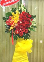 Khởi sắc