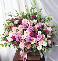 Khu vườn bí mật