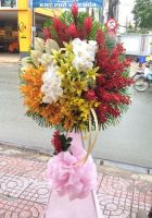 Cát tường như ý
