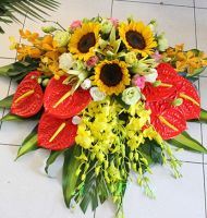 Hoa để bàn