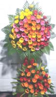 Hưng Thịnh Phát