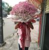 baby-hong - ảnh nhỏ  1