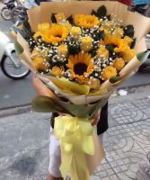 Dưới ánh mặt trời