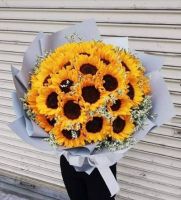 Hướng tới mặt trời