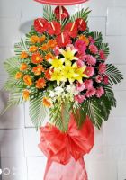 Chúc mừng khai trương
