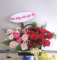 Giỏ xách 10