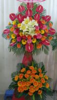 Khai trương hanh thông