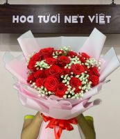 B (46) Hoa Bó