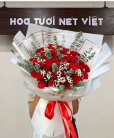 B (55) Hoa Bó