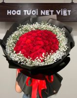 B (57) Hoa Bó