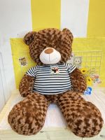 Gấu bông Teddy 1M2 Có sẵn tại cửa hàng