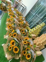 NV(68) Hoa hướng dương tổng kết
