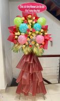 KG(17) Hoa khai giảng - khai trương