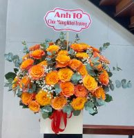 KG(18) Hoa khai giảng - khai trương