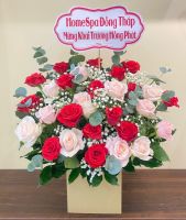 KG(19) Hoa khai giảng - khai trương