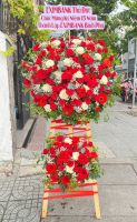 KG(25) Hoa khai giảng - khai trương