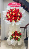 KG(26) Hoa khai giảng - khai trương