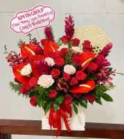 KG(27) Hoa khai giảng - khai trương
