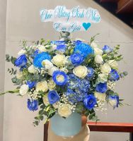 KG(33) Hoa khai giảng - khai trương