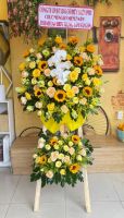 KG(34) Hoa khai giảng - khai trương